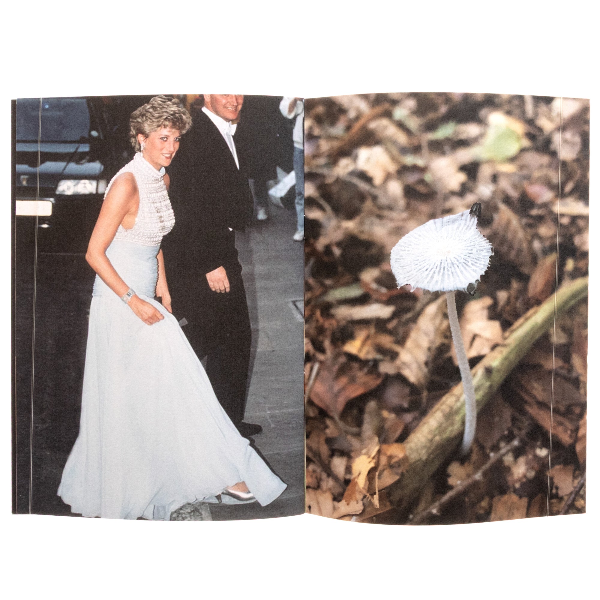 Princess Diana As Mushrooms Vol 1