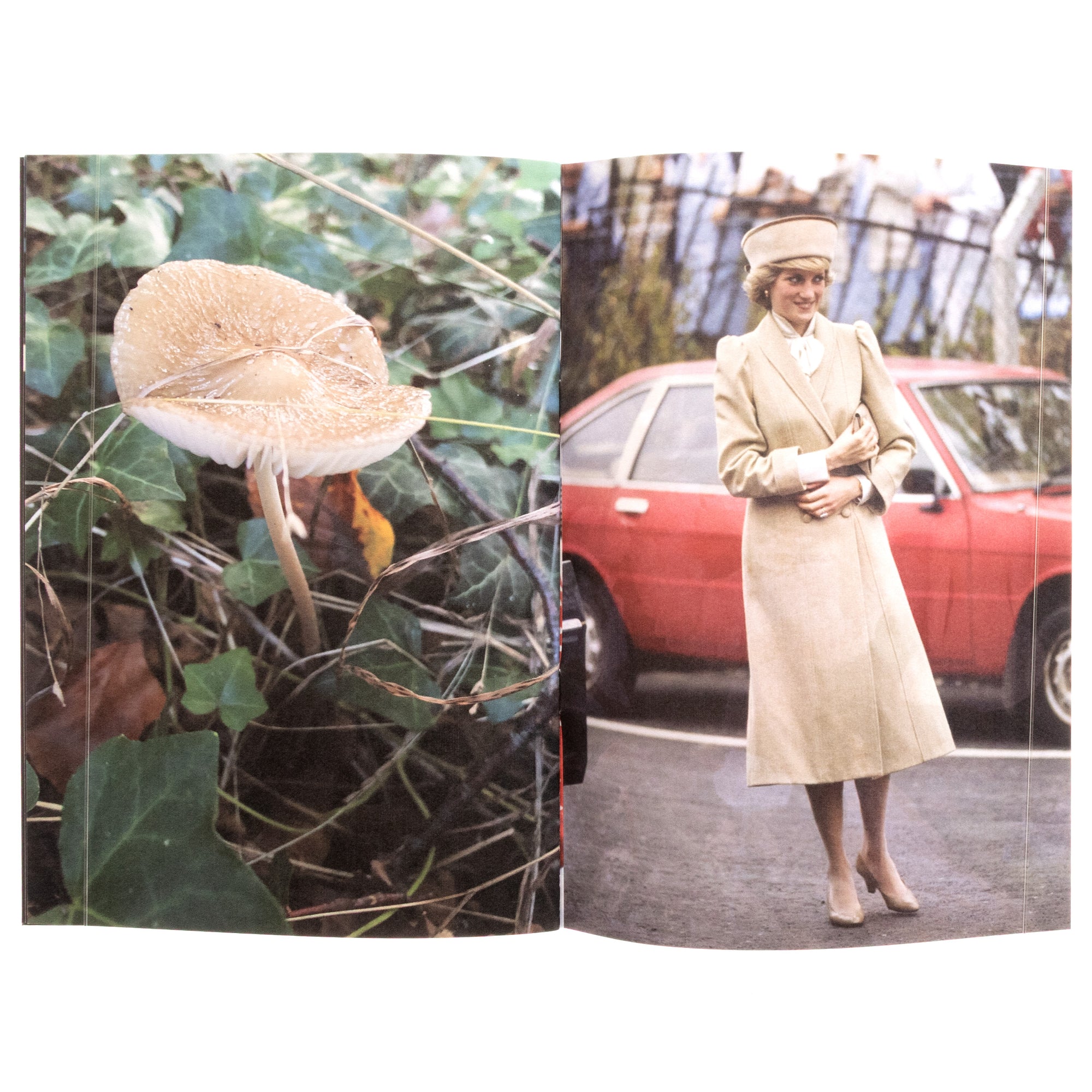 Princess Diana As Mushrooms Vol 1