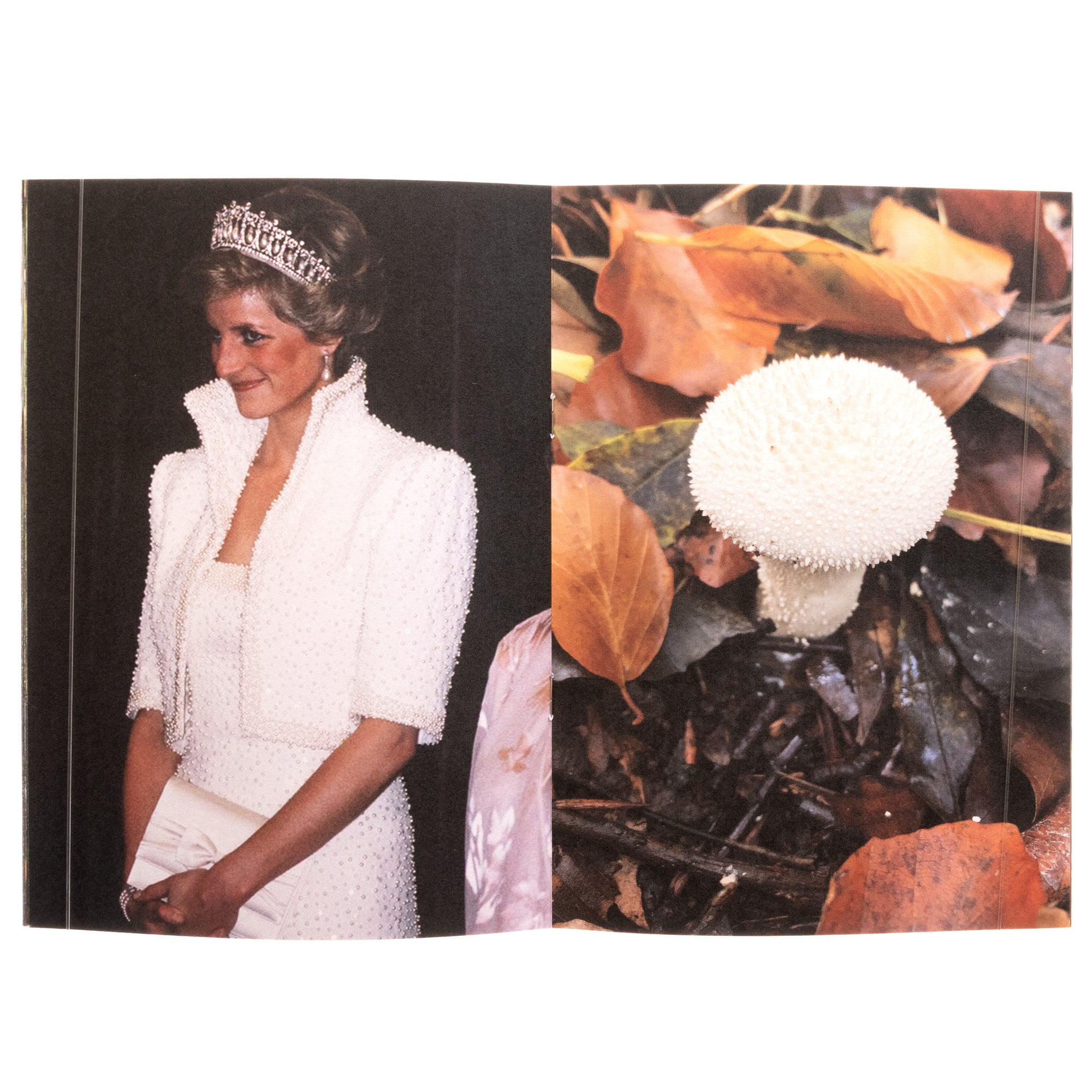 Princess Diana As Mushrooms Vol 1