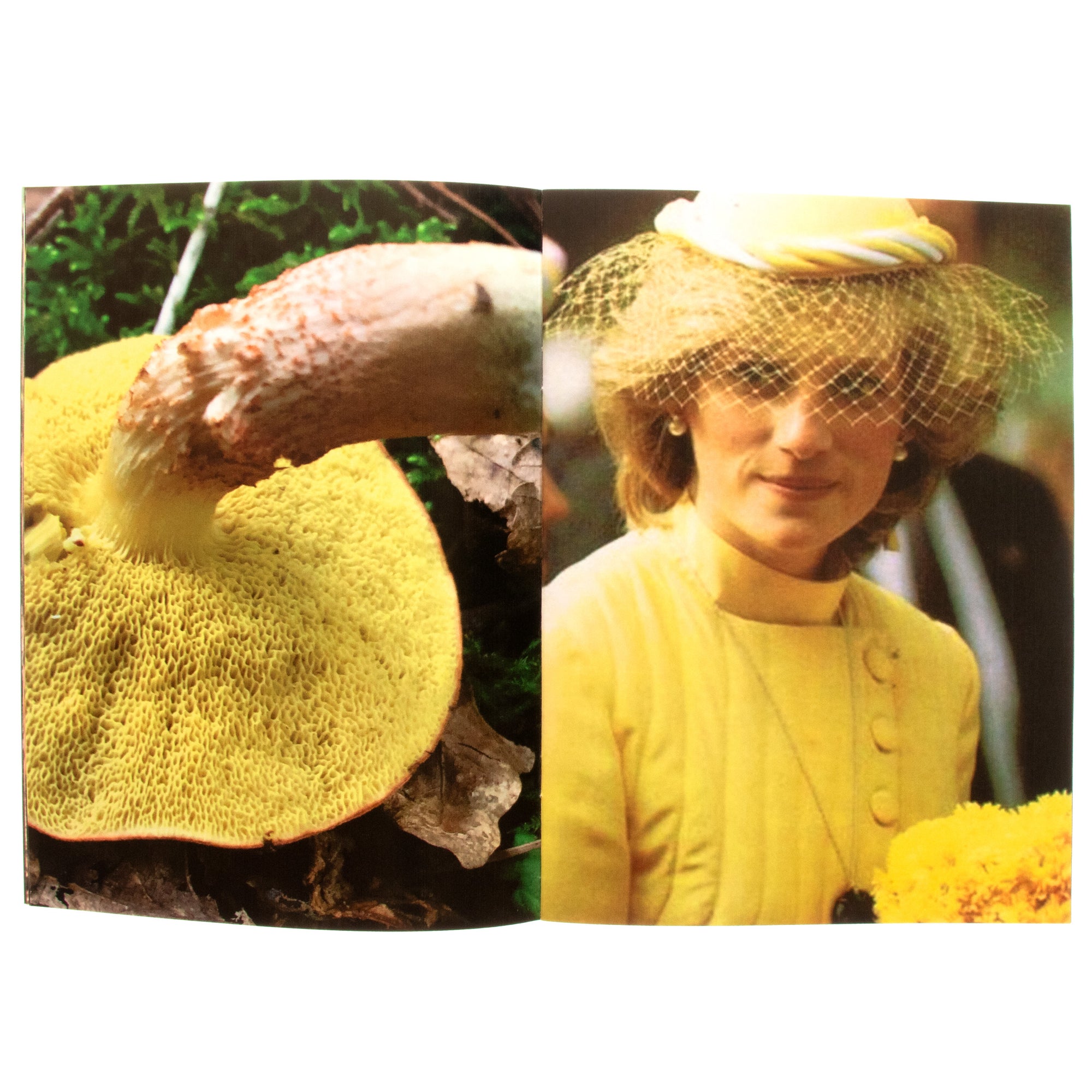 Princess Diana As Mushrooms Vol 2