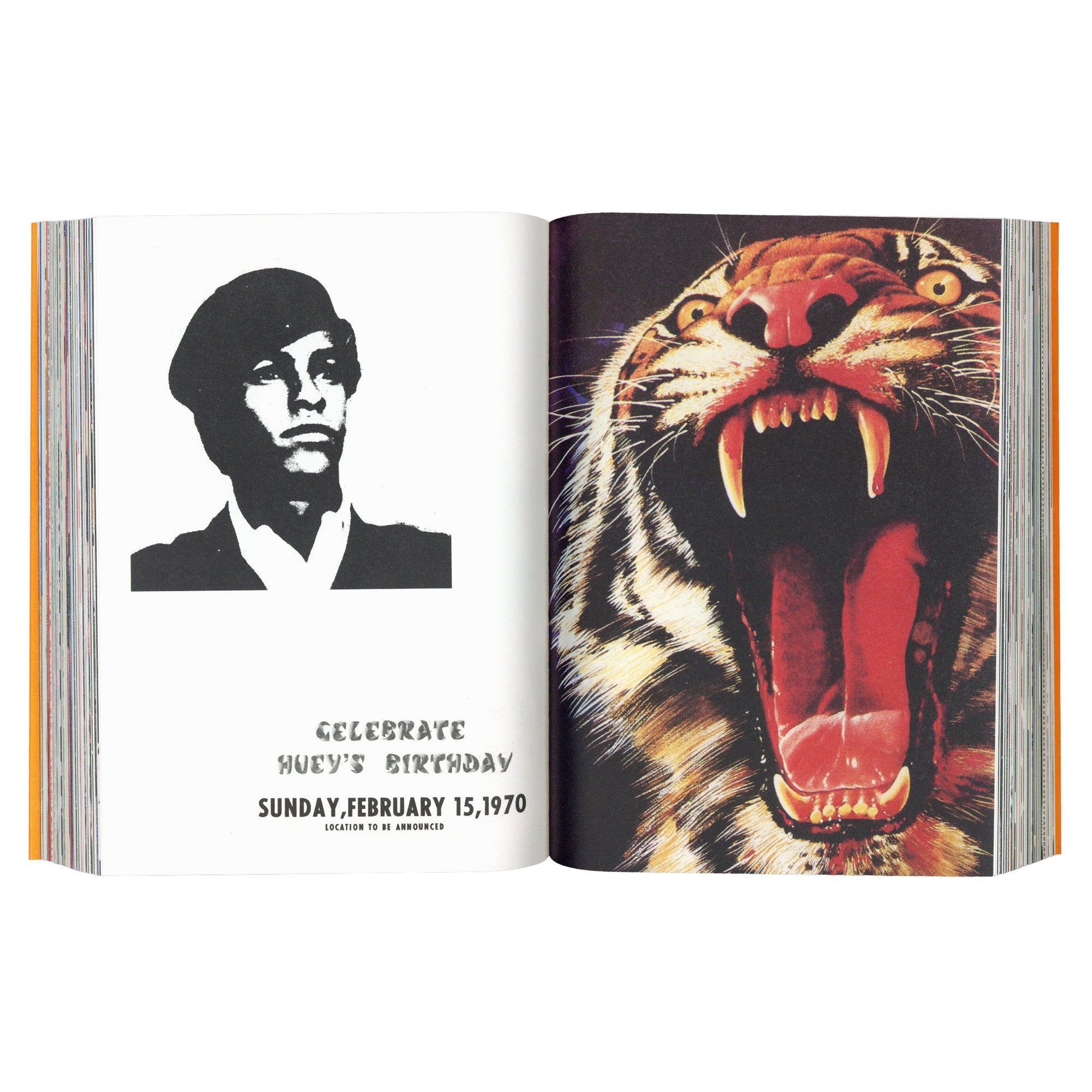 Radical Media Archive Vol 1: An Anthology Of Counterculture and Political Graphic Design