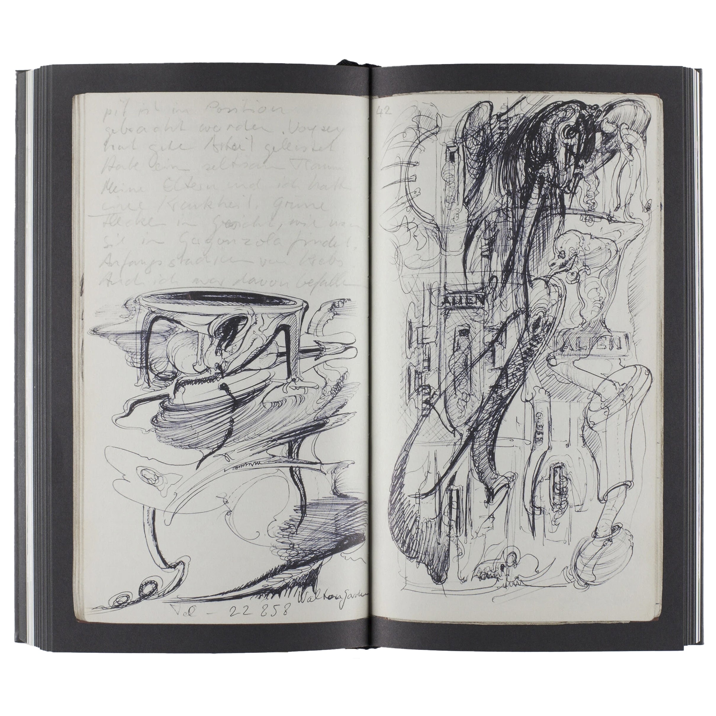 Alien Diaries – LOCK BOOKS