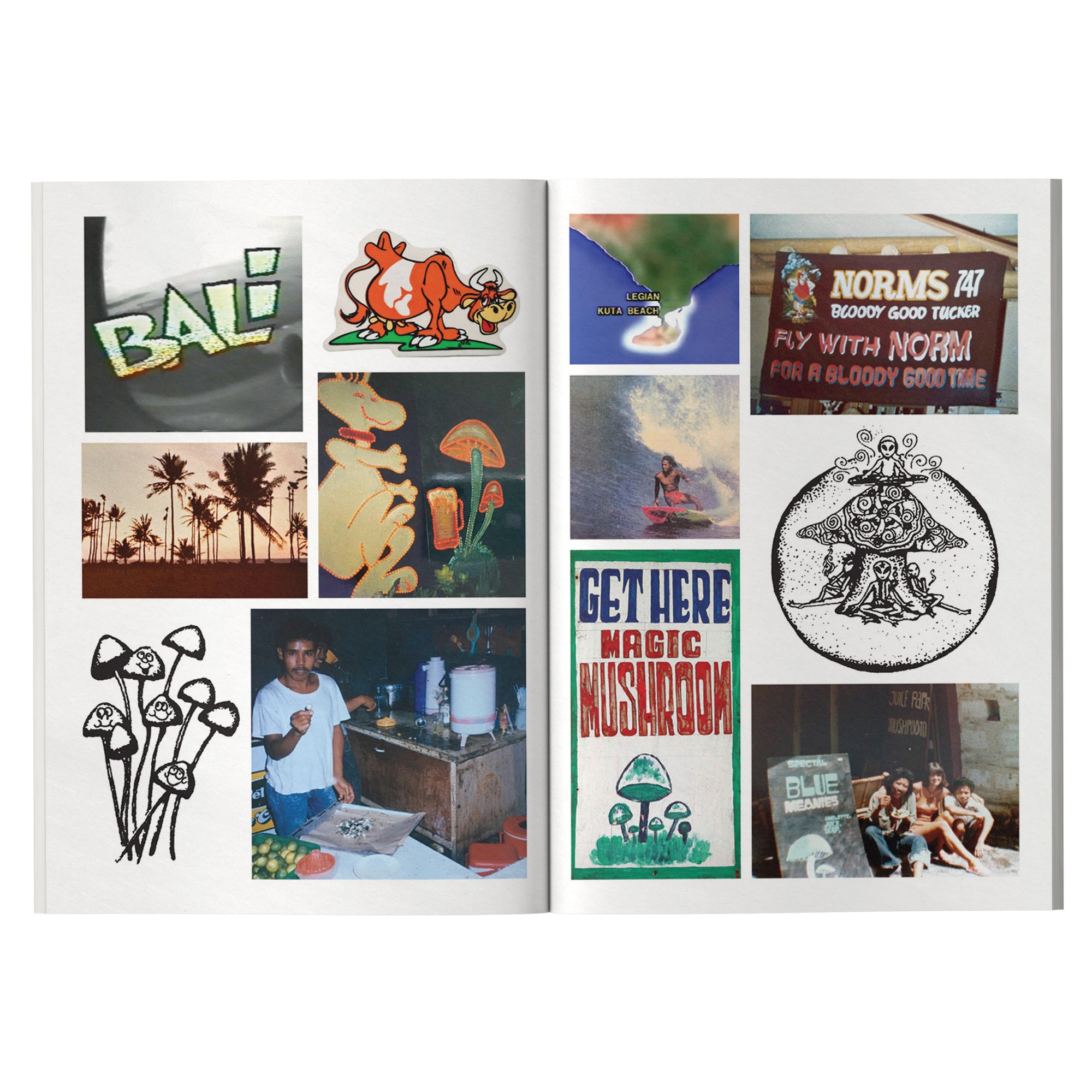 Blue Meanies: A Brief History of Magic Mushrooms in Bali