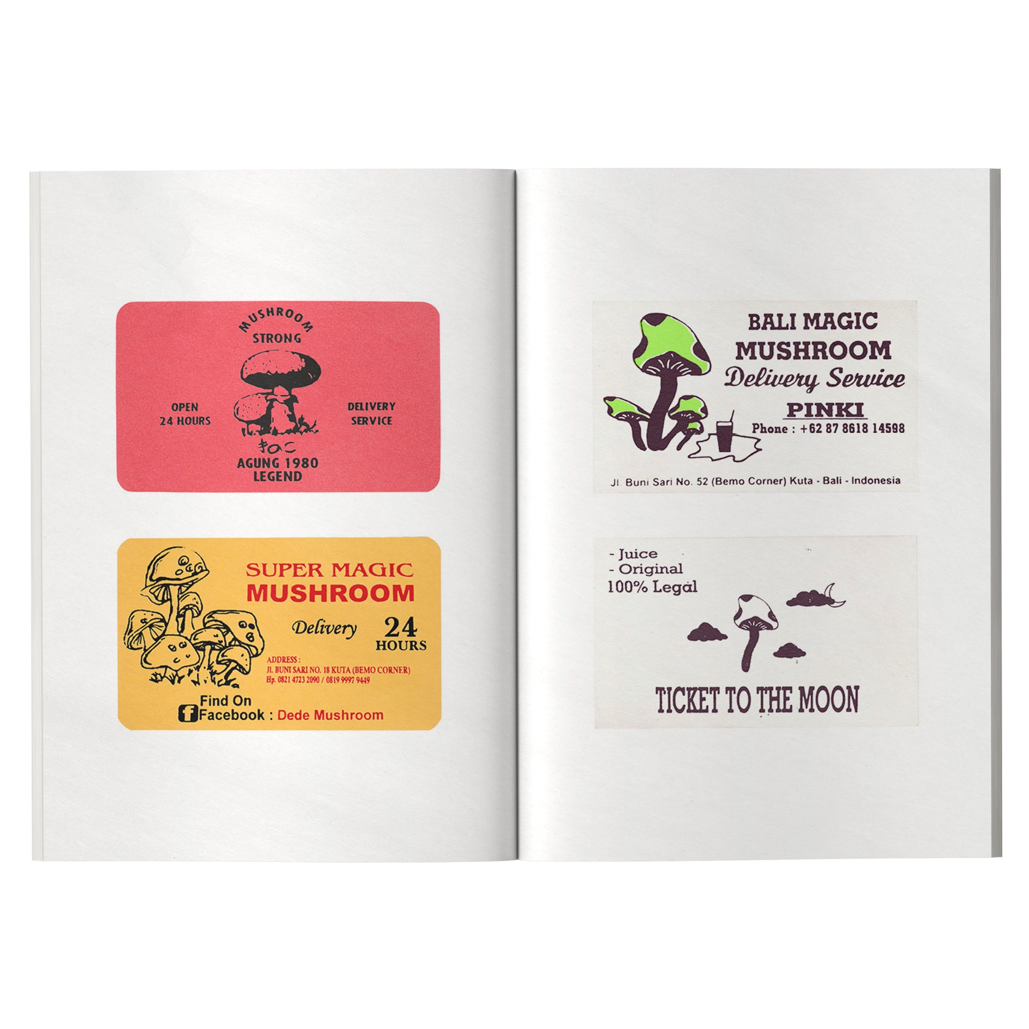 Blue Meanies: A Brief History of Magic Mushrooms in Bali