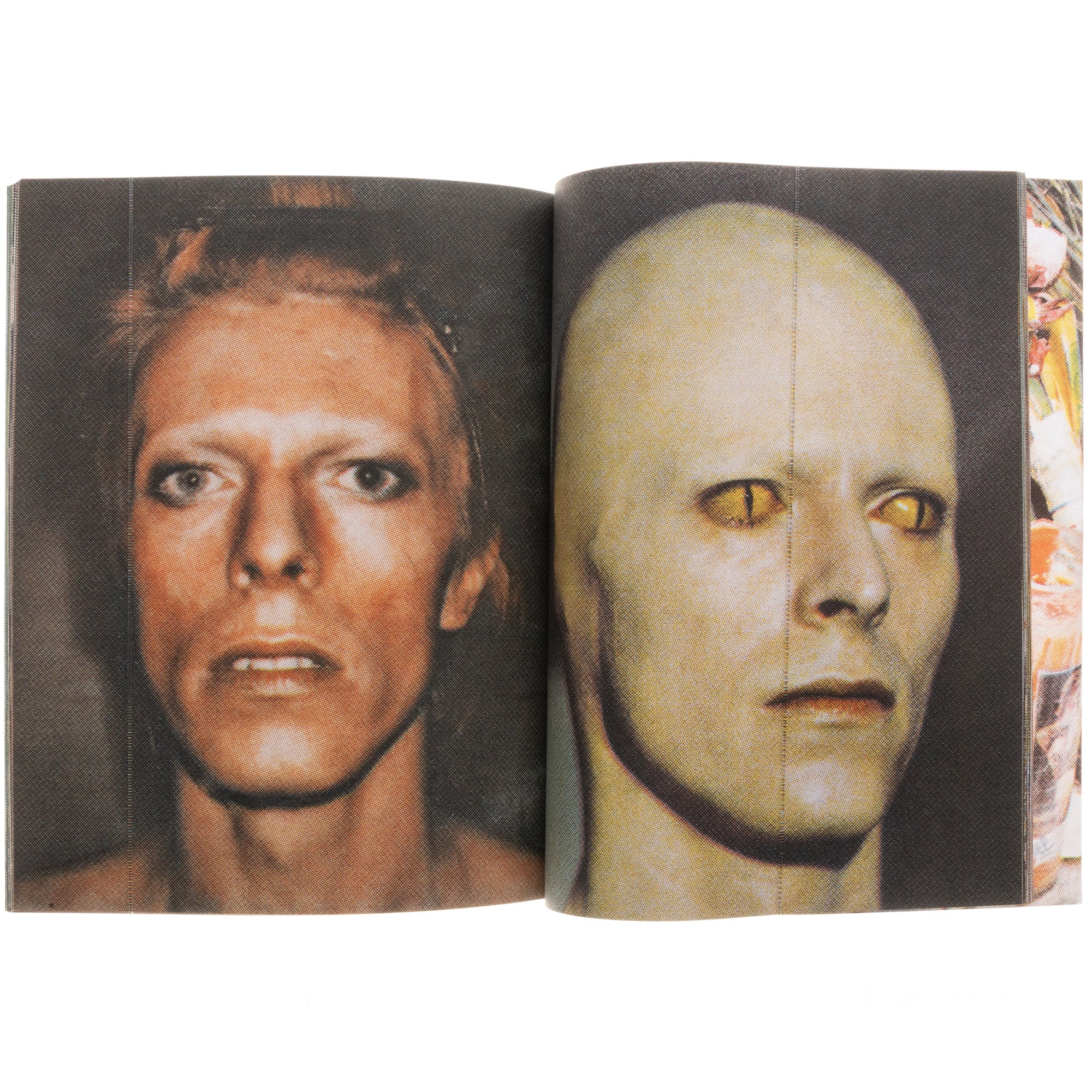 Bowie Book