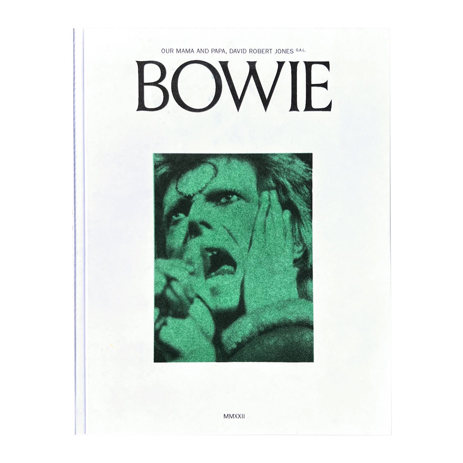 Bowie Book