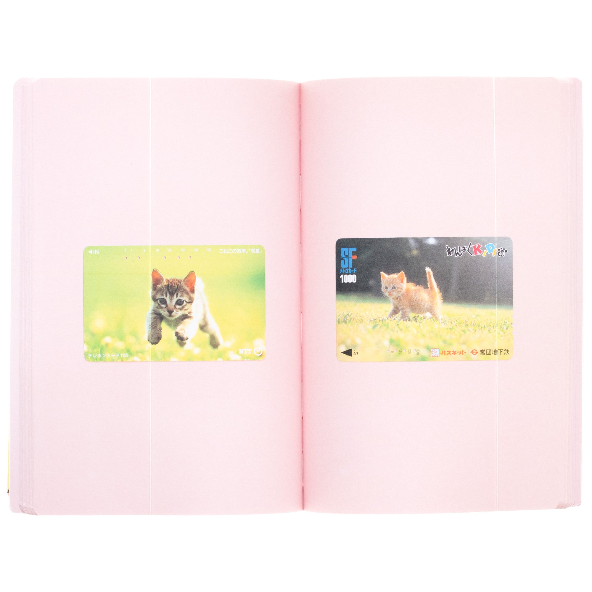 Cat Telephone Cards