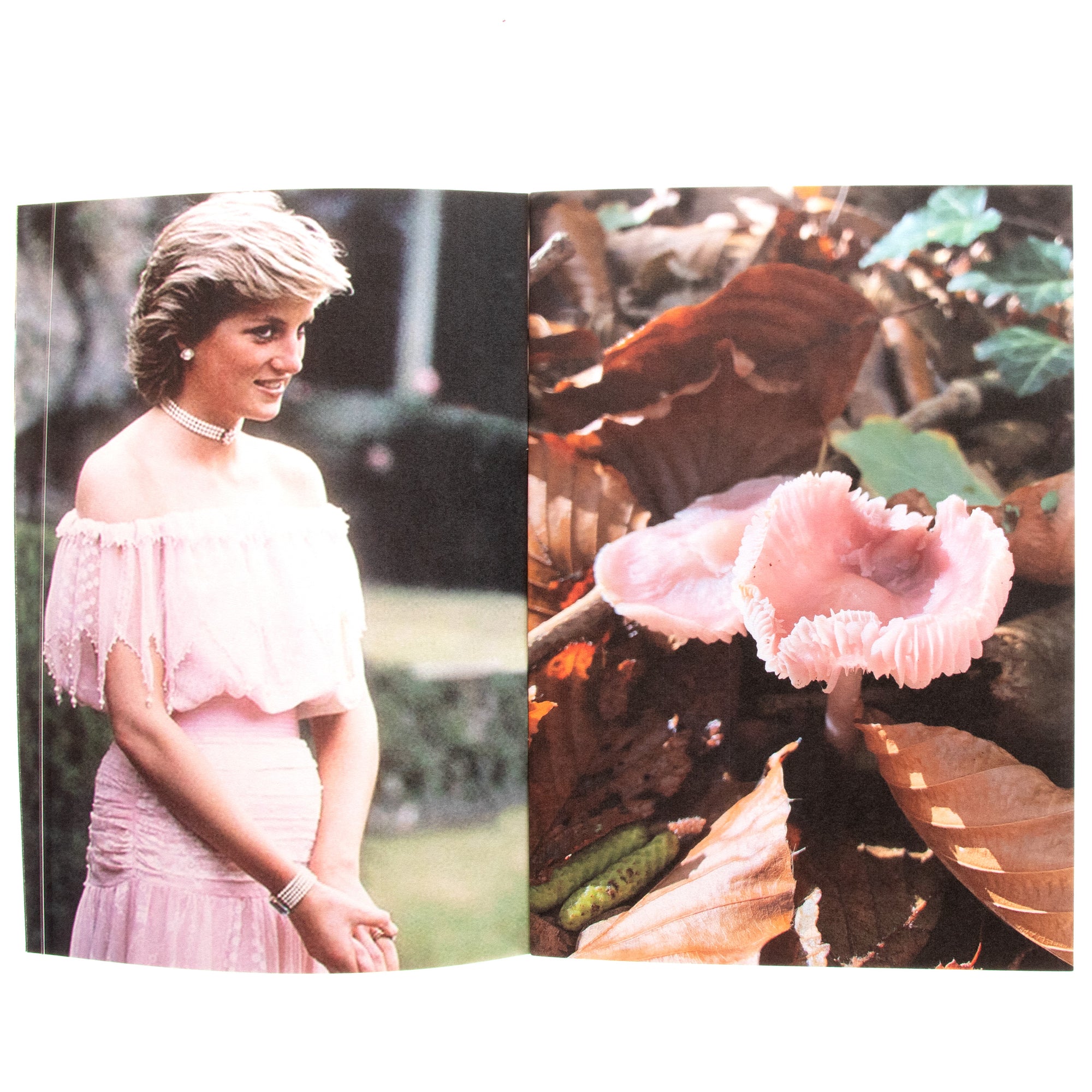 Princess Diana As Mushrooms Vol 1