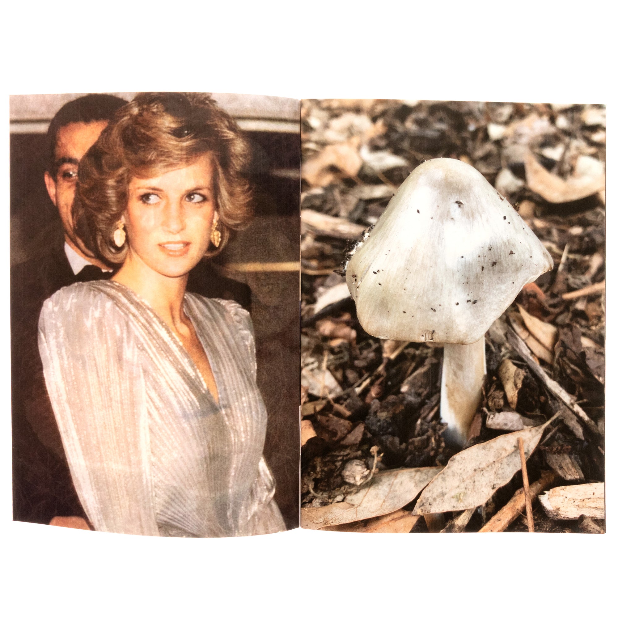 Princess Diana As Mushrooms Vol 2