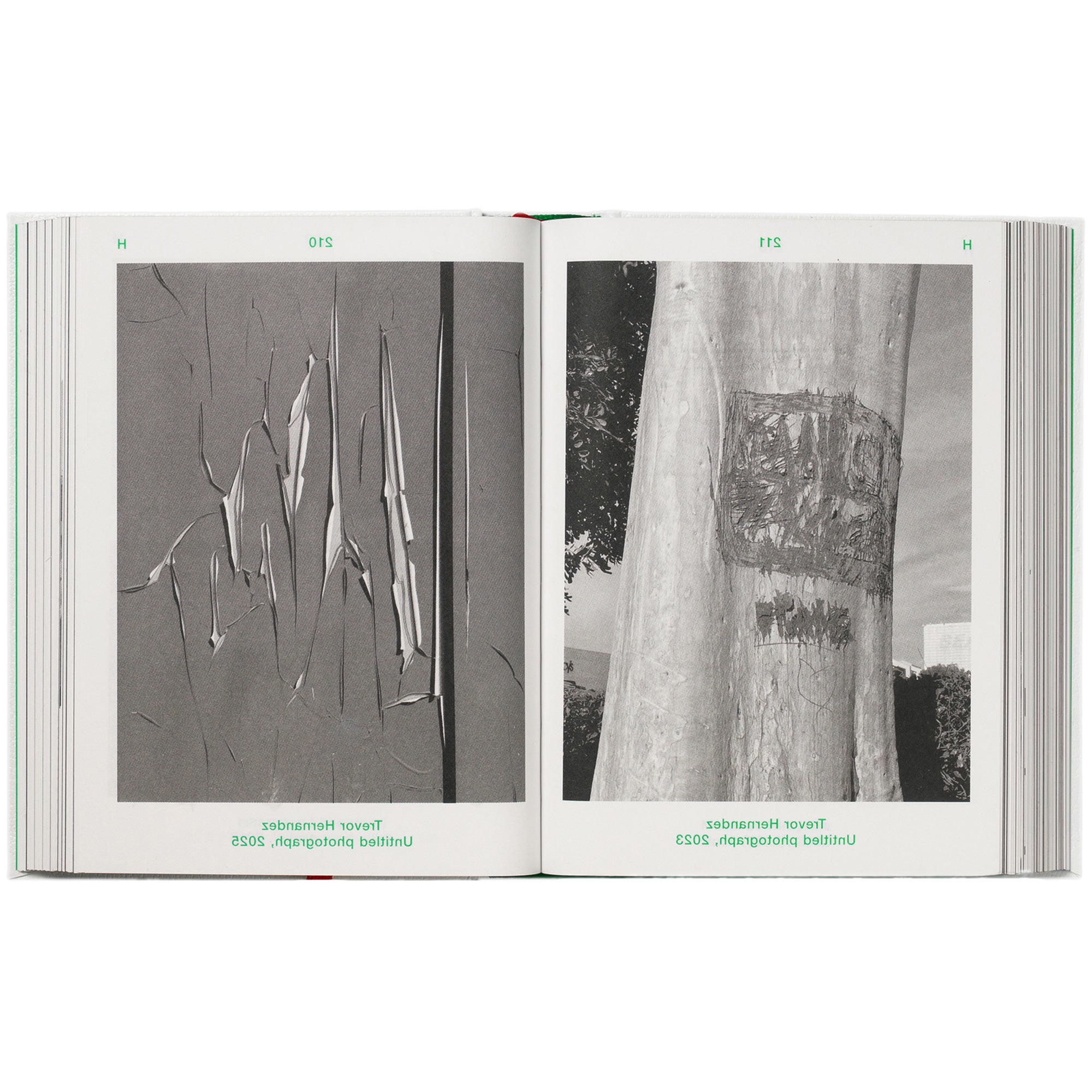 Dictionary of the Illegible
