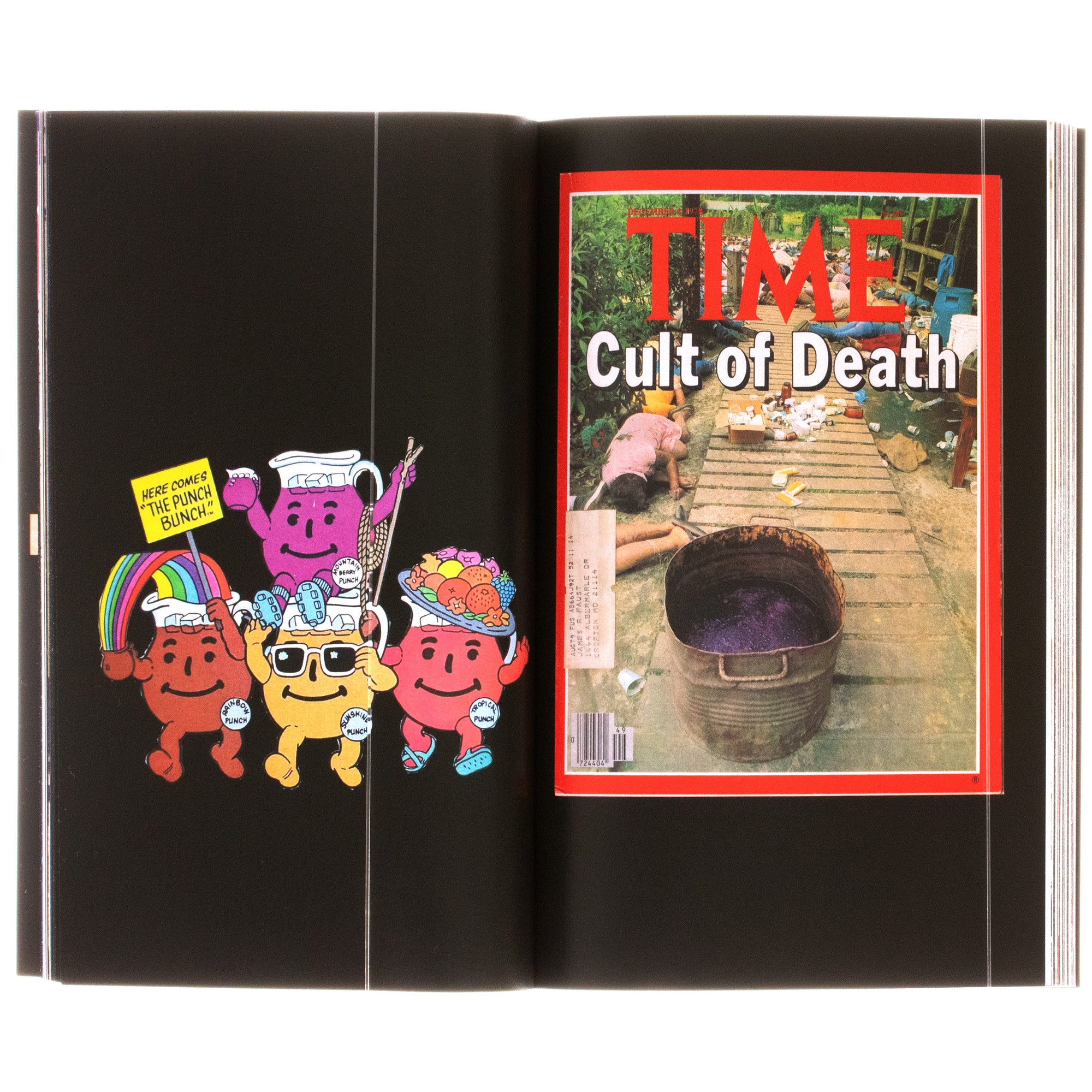 High Crimes Cult Minds