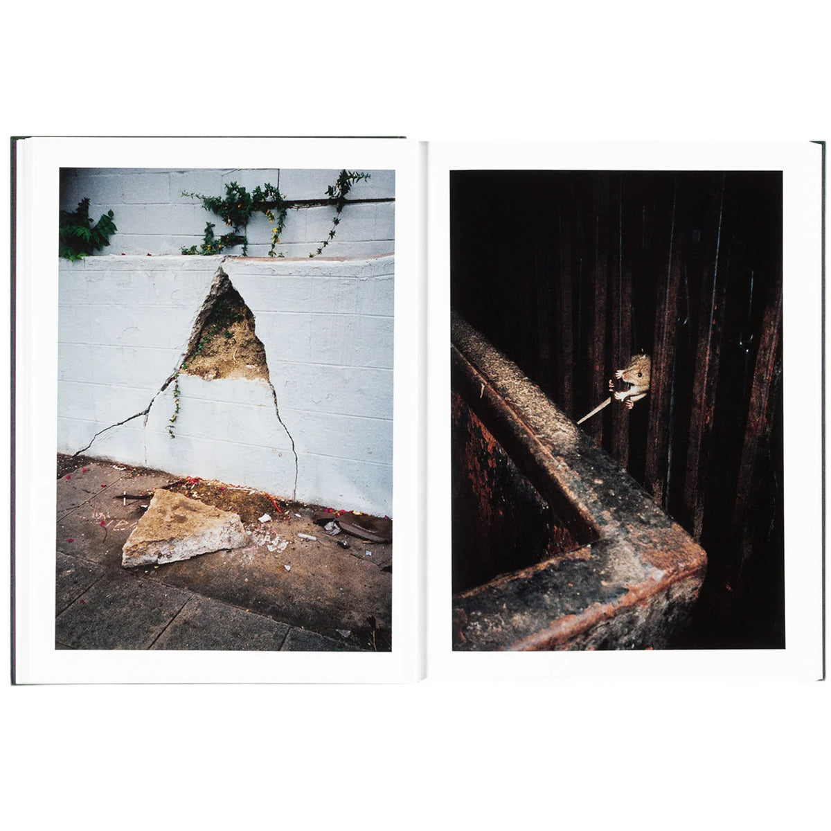 How About Never
