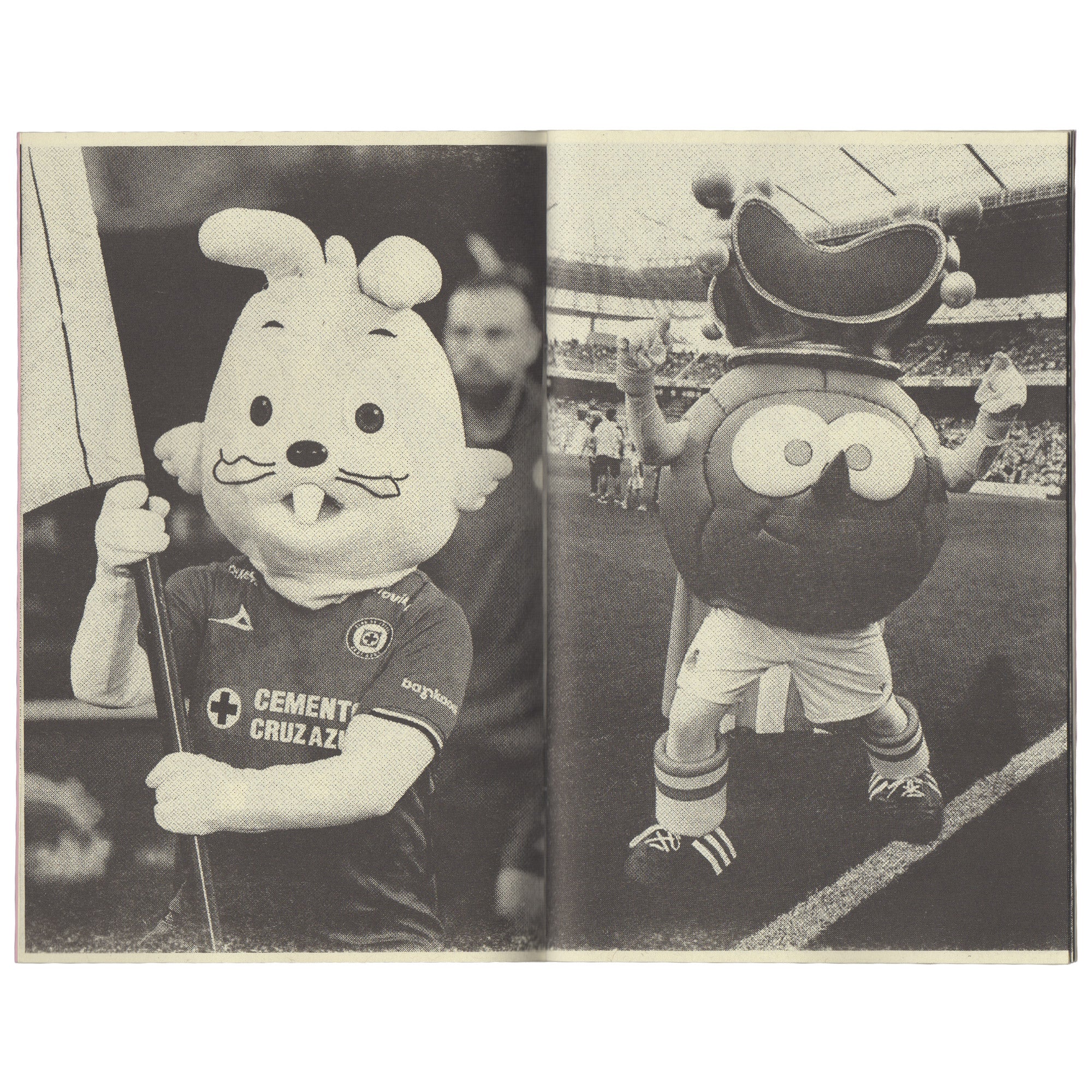 The Strange Art of Soccer Mascots