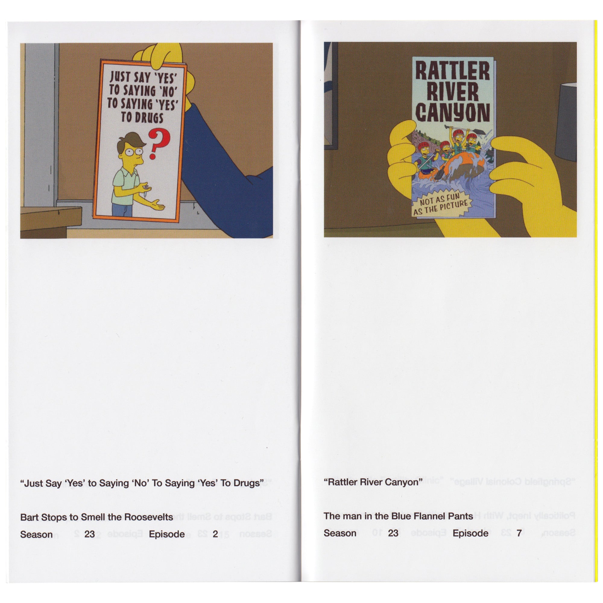 So You've Purchased a Simpsons Pamphlet Zine – LOCK BOOKS
