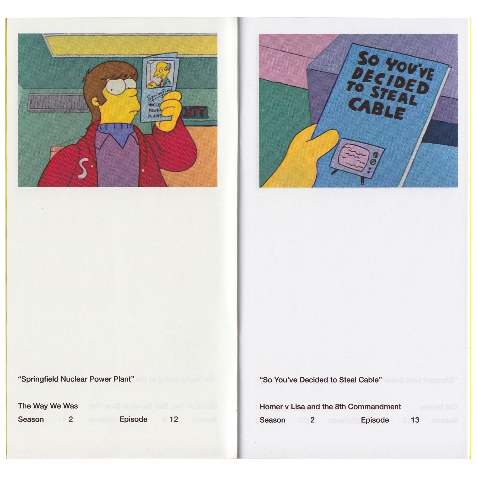 So You've Purchased a Simpsons Pamphlet Zine – LOCK BOOKS