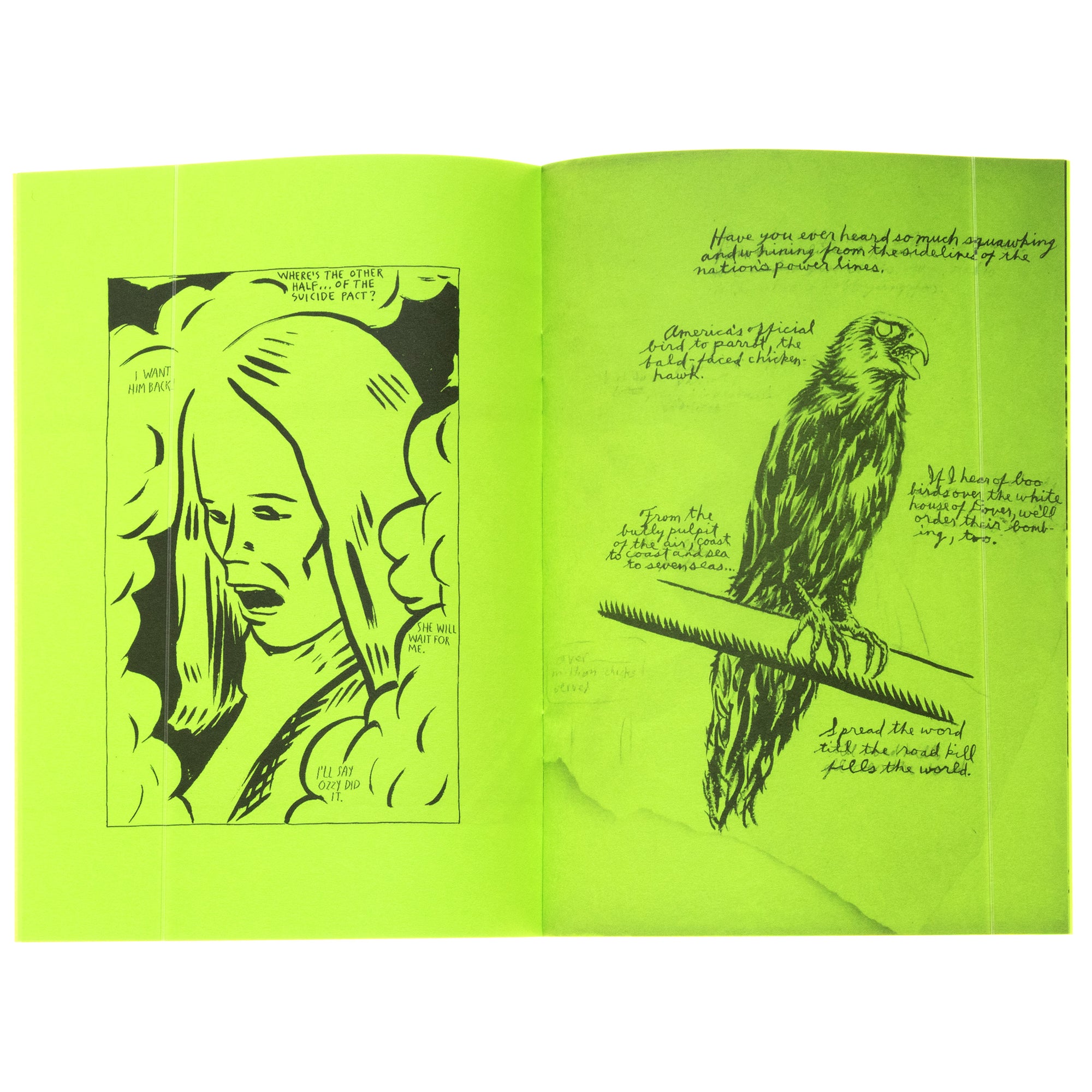 Raymond Pettibon: Selected Works from 1982 to 2011