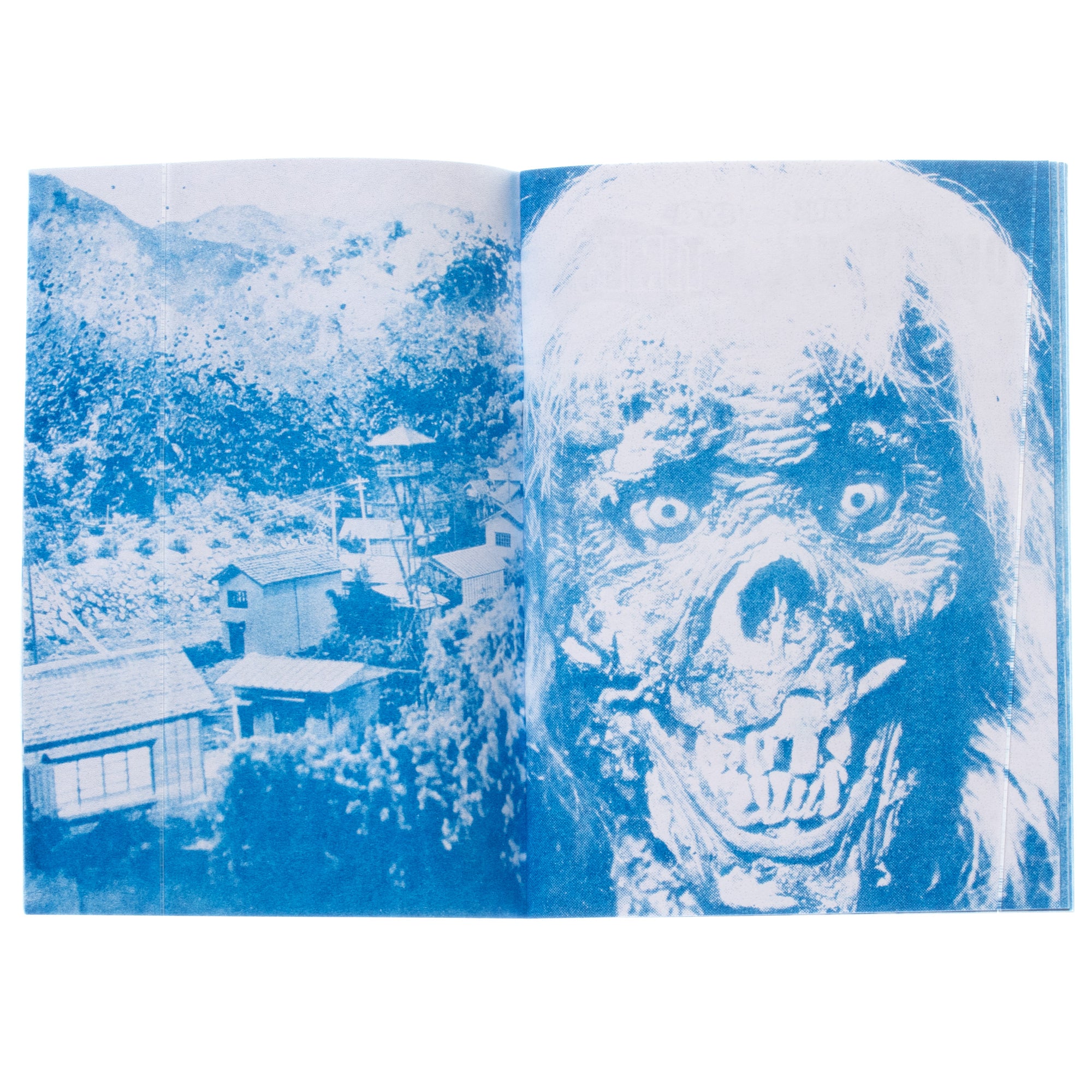 Terror House #1