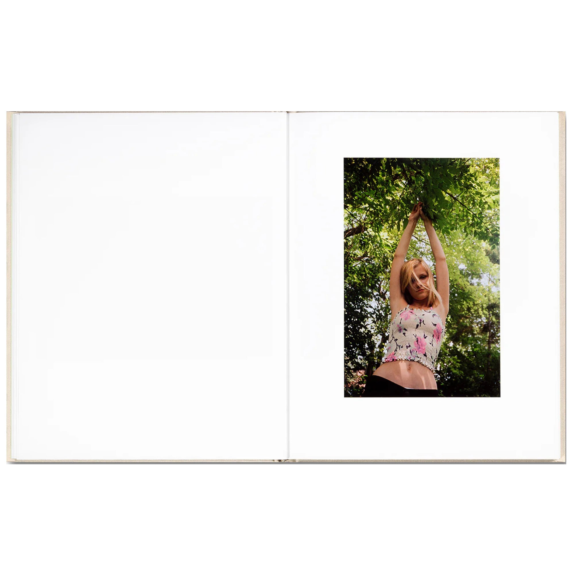 The Virgin Suicides
